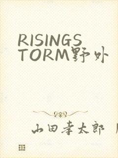 RISINGSTORM野外封面