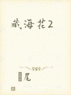 藏海花2封面