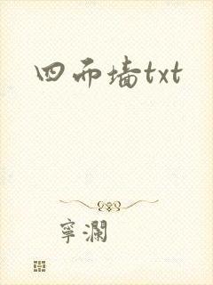 四面墙txt