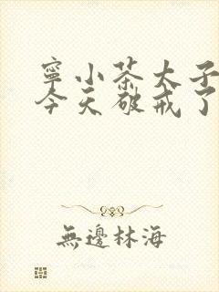 宁小茶太子殿下今天破戒了吗免费阅读