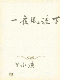 一夜风流下载封面