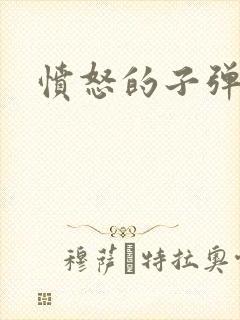 愤怒的子弹封面