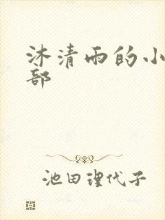 沐清雨的小说全部