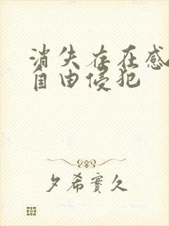 消失存在感消失自由侵犯封面