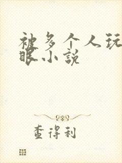 被多个人玩屁股眼小说封面