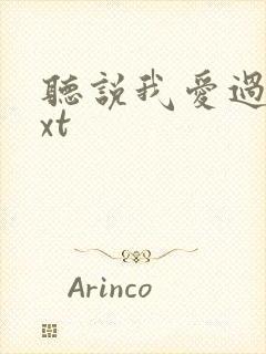 听说我爱过你txt