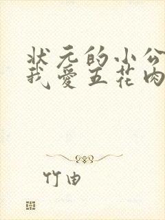 状元的小公主(我爱五花肉)