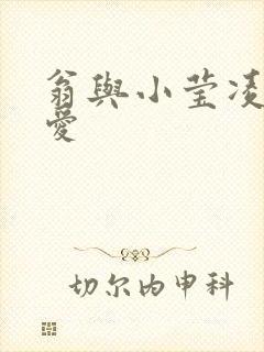 翁与小莹凌晨欢爱