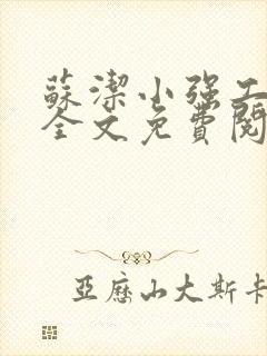 苏洁小强工地情全文免费阅读封面