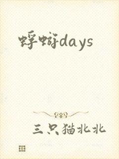 蜉蝣days封面