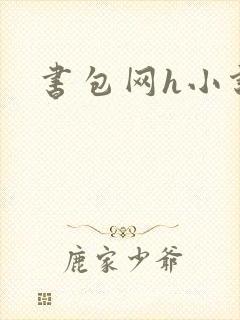 书包网h小说