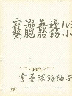 宠溺无边1v3双胞胎的小说