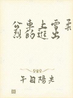 公车上雪柔被猛烈的进出