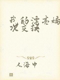 我的漂亮娇妻初次交换封面