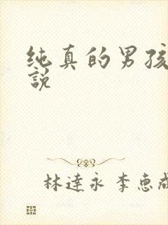 纯真的男孩子小说