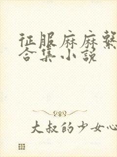 征服麻麻系列大合集小说封面