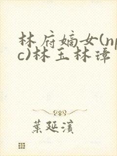 林府嫡女(npc)林玉林璋