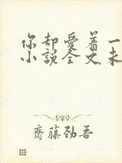 你却爱着一个他小说全文未删减免费封面