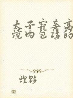 太子宠妾高肉红烧肉包讲的什么