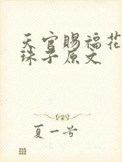 天官赐福花怜塞珠子原文封面