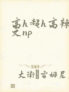 高h超h高辣h文np