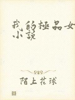 我的极品女老师小说