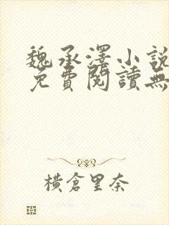 魏承泽小说全文免费阅读无弹窗笔趣