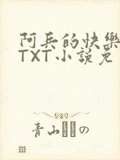 阿兵的快乐生活TXT小说免费阅读全章