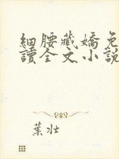 细腰藏娇免费阅读全文小说苏珞浅