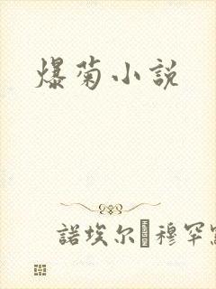 爆菊小说