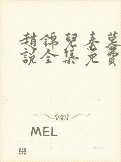 赵锦儿秦慕修小说全集免费封面