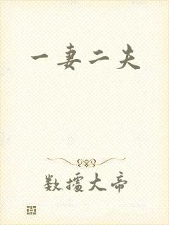 一妻二夫