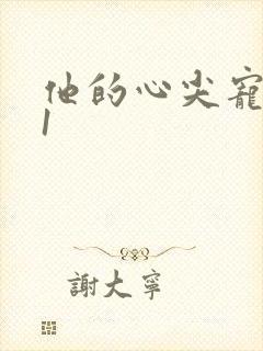 他的心尖宠1v1封面