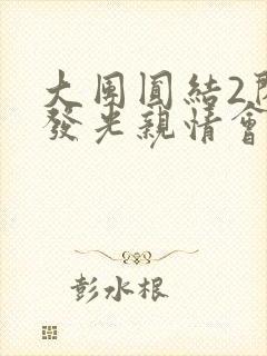 大团圆结2闪闪发光亲情会封面