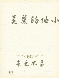 美丽的他小说