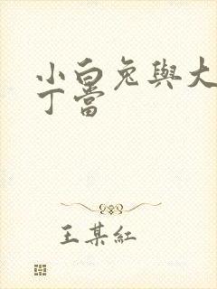 小白兔与大灰狼丁当封面