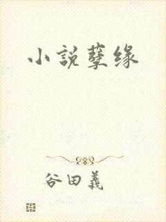 小说孽缘