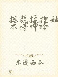 总裁揉捏她两乳不停呻吟