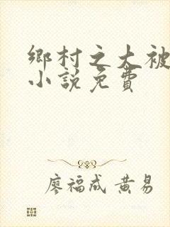 乡村之大被同眠小说免费