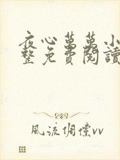 夜心万万小说完整免费阅读全文