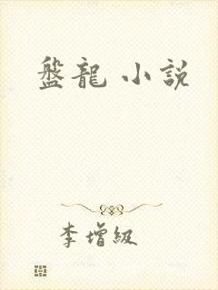 盘龙 小说