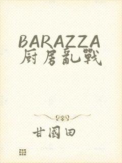 BARAZZA厨房乱战