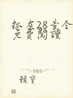 抓灰28章全部免费阅读封面