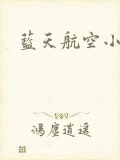 蓝天航空小说