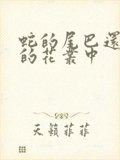 蛇的尾巴还在我的花丛中