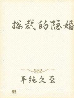 总裁的隐婚新娘封面