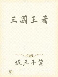三国王者