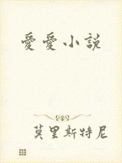 爱爱小说