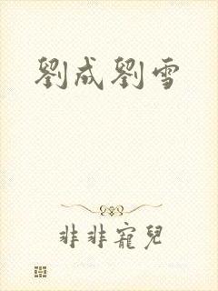刘成刘雪封面