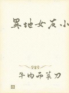 异地女友小路封面